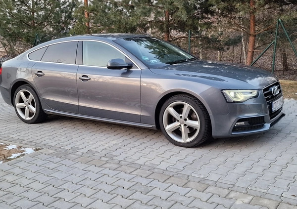 Audi A5 cena 75900 przebieg: 215000, rok produkcji 2014 z Lesko małe 22